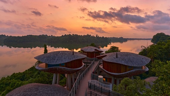Дома в форме семенных коробочек в курортном отеле Mandai Rainforest Resort (© Banyan Tree) Дома в форме семенных коробочек в курортном отеле Mandai Rainforest Resort (© Banyan Tree)